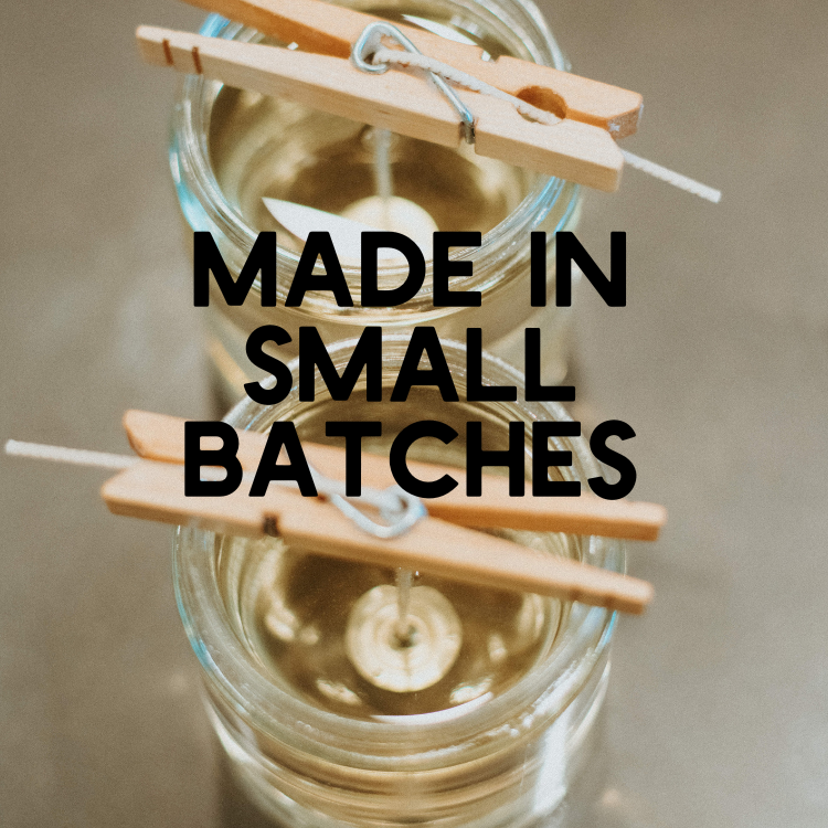 Dogs Are Cooler Than People